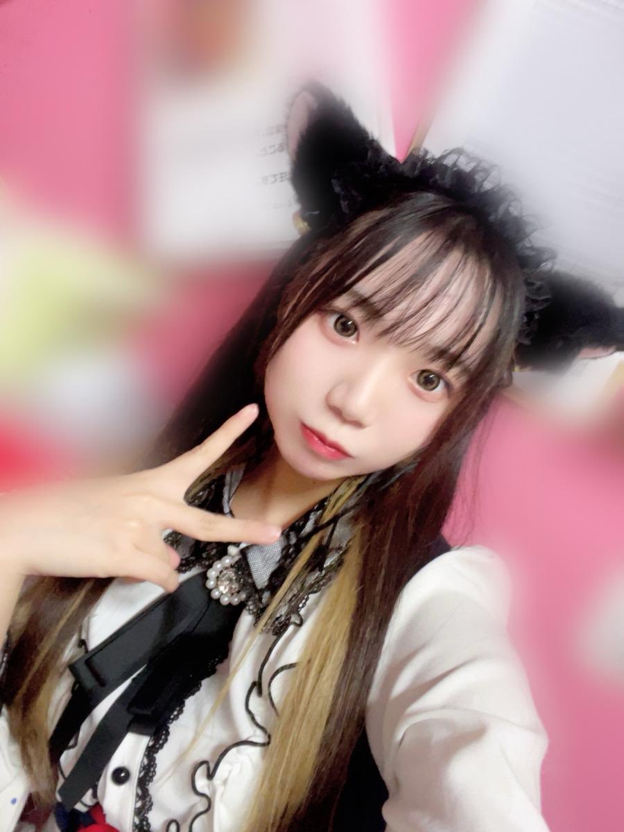 さく＠みけねこカフェ清瀬 (@sakumikecat) / Posts / X