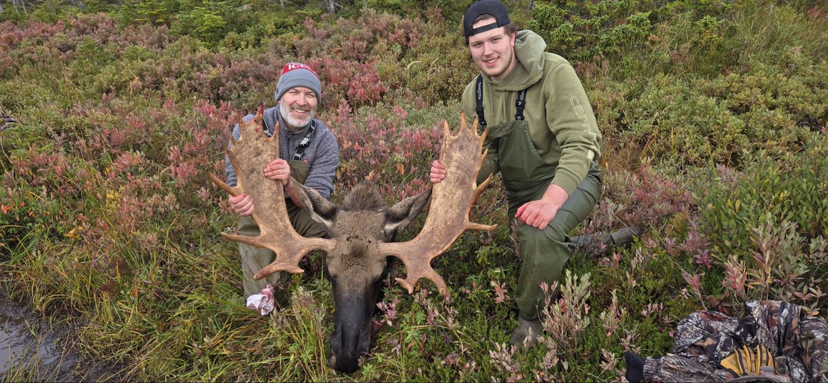 Jason Spingle tweet media