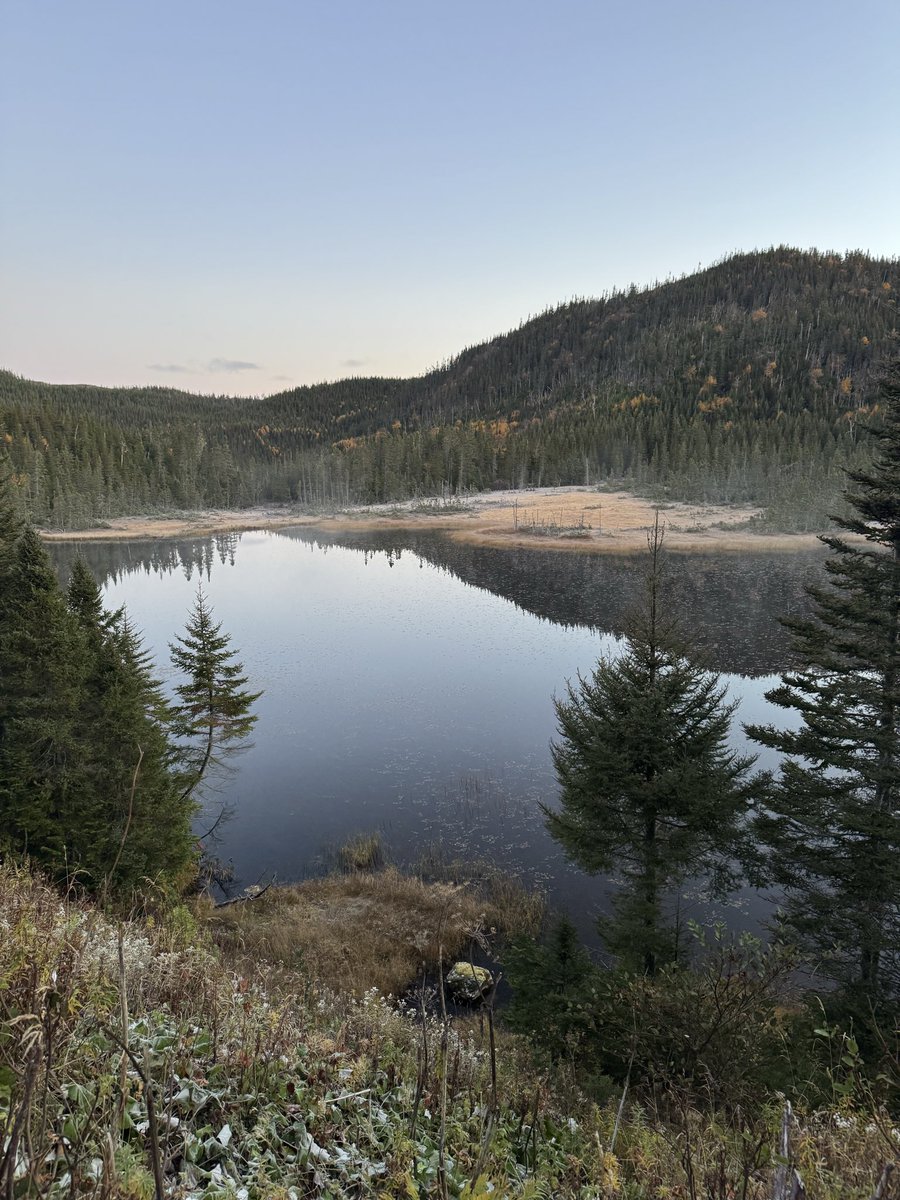 Jason Spingle tweet media