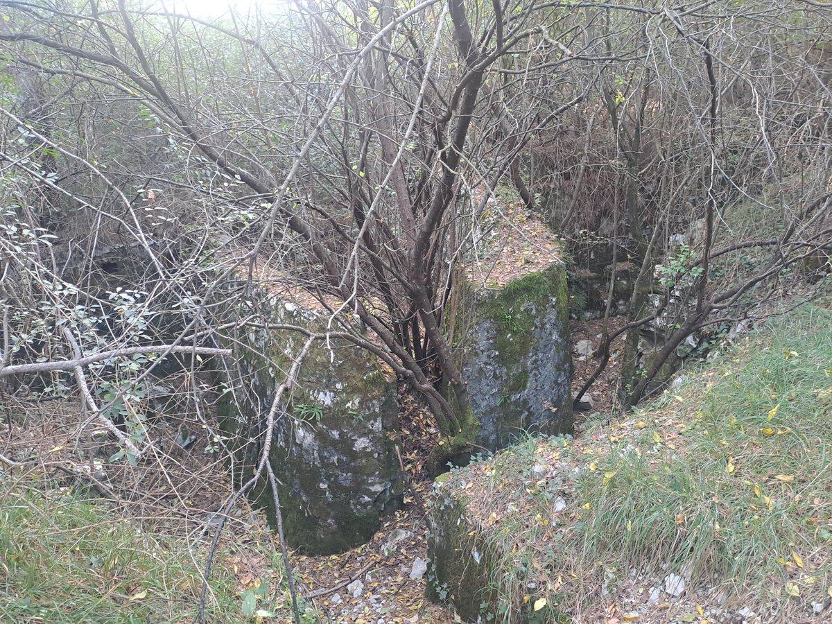 bertoli1966's tweet image. Monfalcone always offers surprises..at least to me..