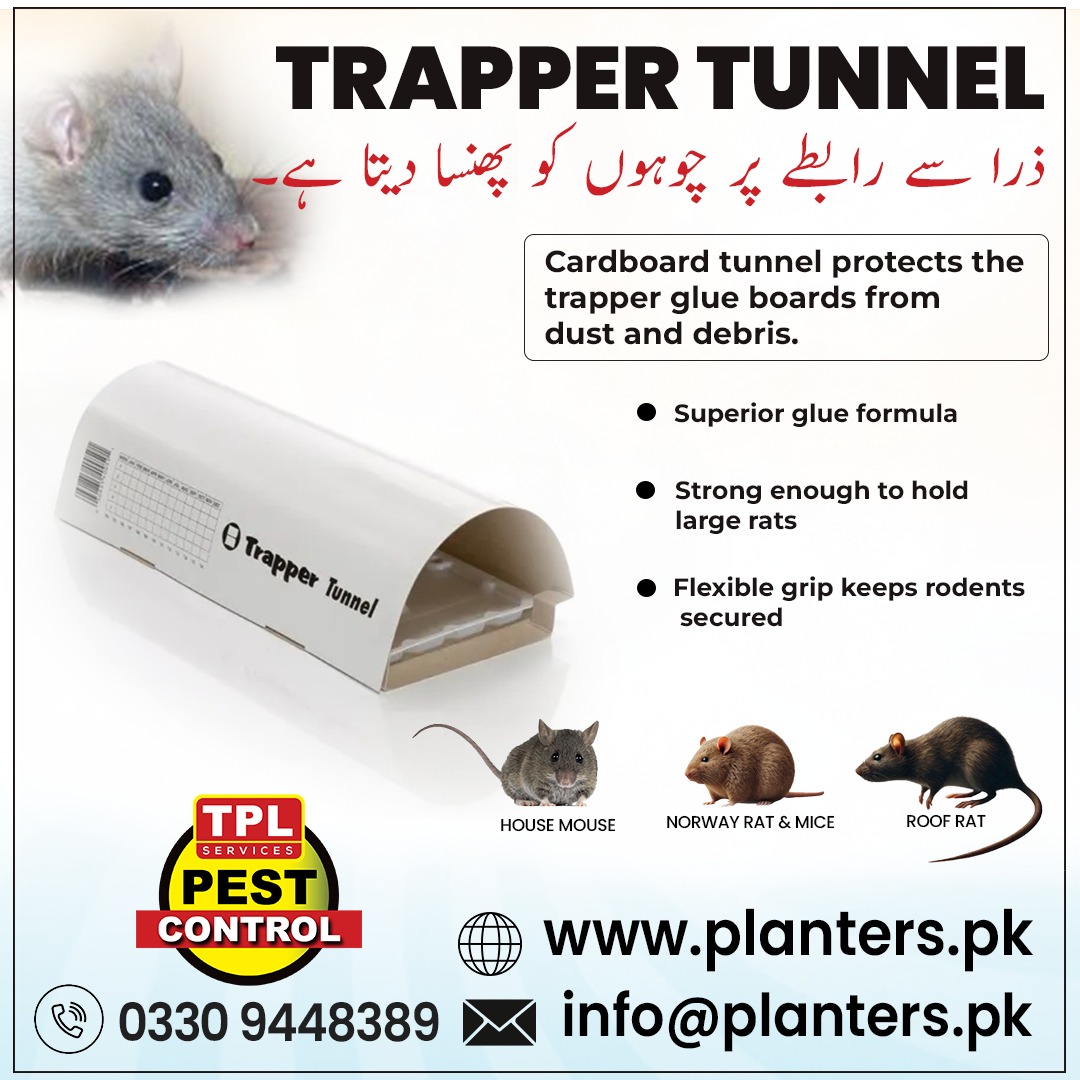 TPLPestControl's tweet image. گھر یا دفتر — اب چوہوں سے نجات ہے آسان!  Trapper Tunnel  کیونکہ یہ ہے چوہوں کا پکا دشمن!  📞 Call: 0512303380 📷 website: planters.pk  visit our daraz store: daraz.pk/shop/gsyzdz7m #TPLPestControl #PremoPlus #Insecticide #MosquitoControl #FlyControl #TickControl