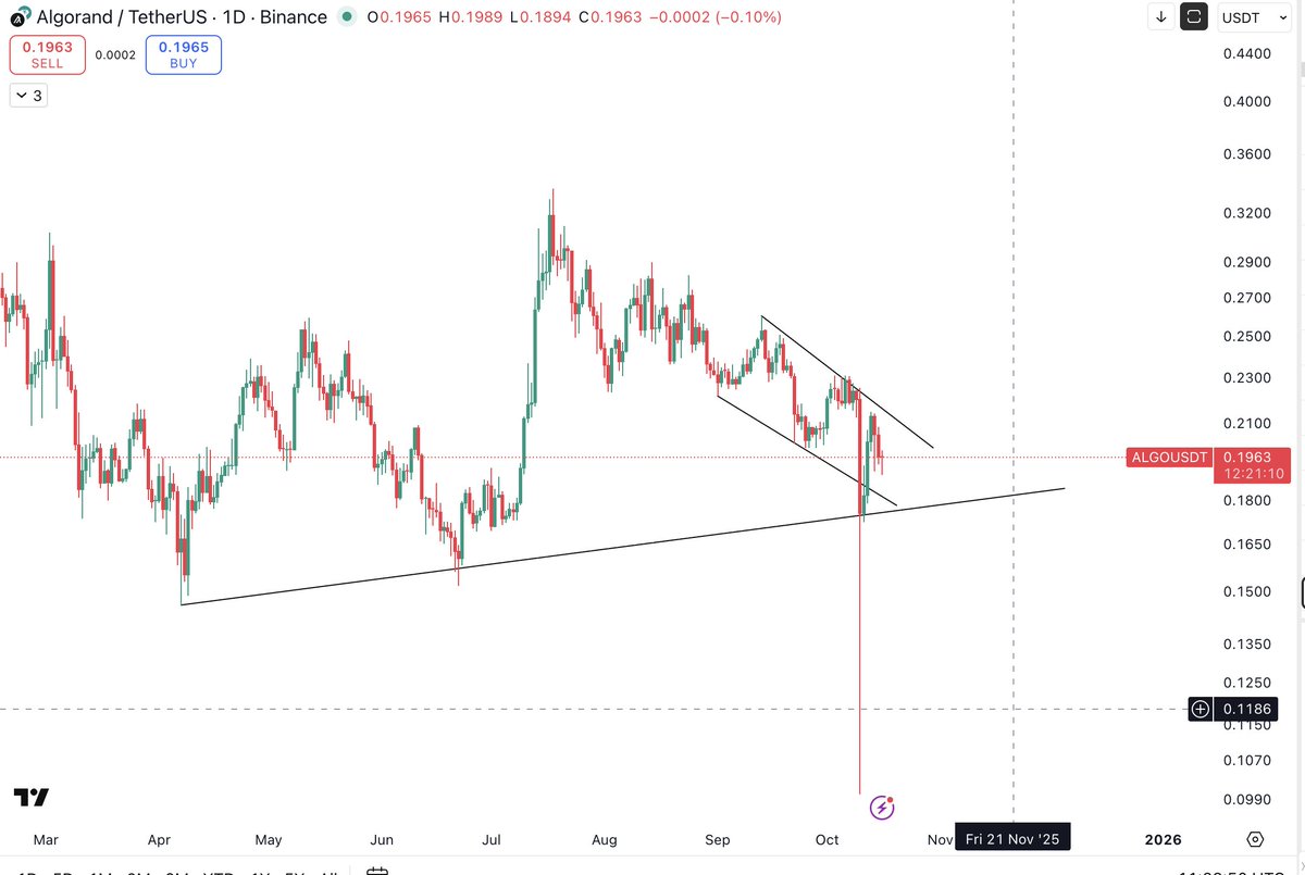 Thecryptomist's tweet image. $ALGO
#ALGO is one of the best looking alts on daily.
Trend holding with bullish falling wedge present.
When market moves up, I expect @AlgoFoundation to pump very hard