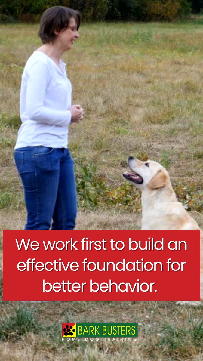 barkbusterla's tweet image. 🎾🐾 Walks, guests, playtime—everything gets easier with proper training! 🐕✨ Start creating harmony at home today.
👉 barkbusters.com/dog-training/g…

#FunTraining #BetterBehavior
