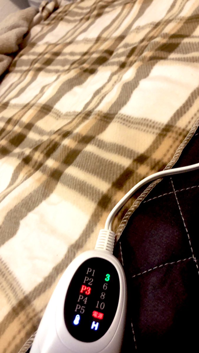 今日は疲れたのでベット用に買った電気毛布のチェックをしながら早く寝ようかと思います😴