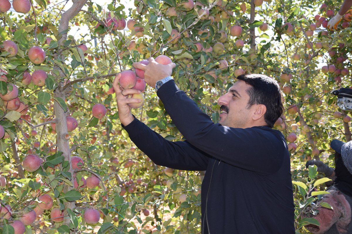 📌 Karapınar’ımız Elma Üretim Üssü olma yolunda ilerliyor

 👉Detay : karapinar.gov.tr/karapinarimiz-…