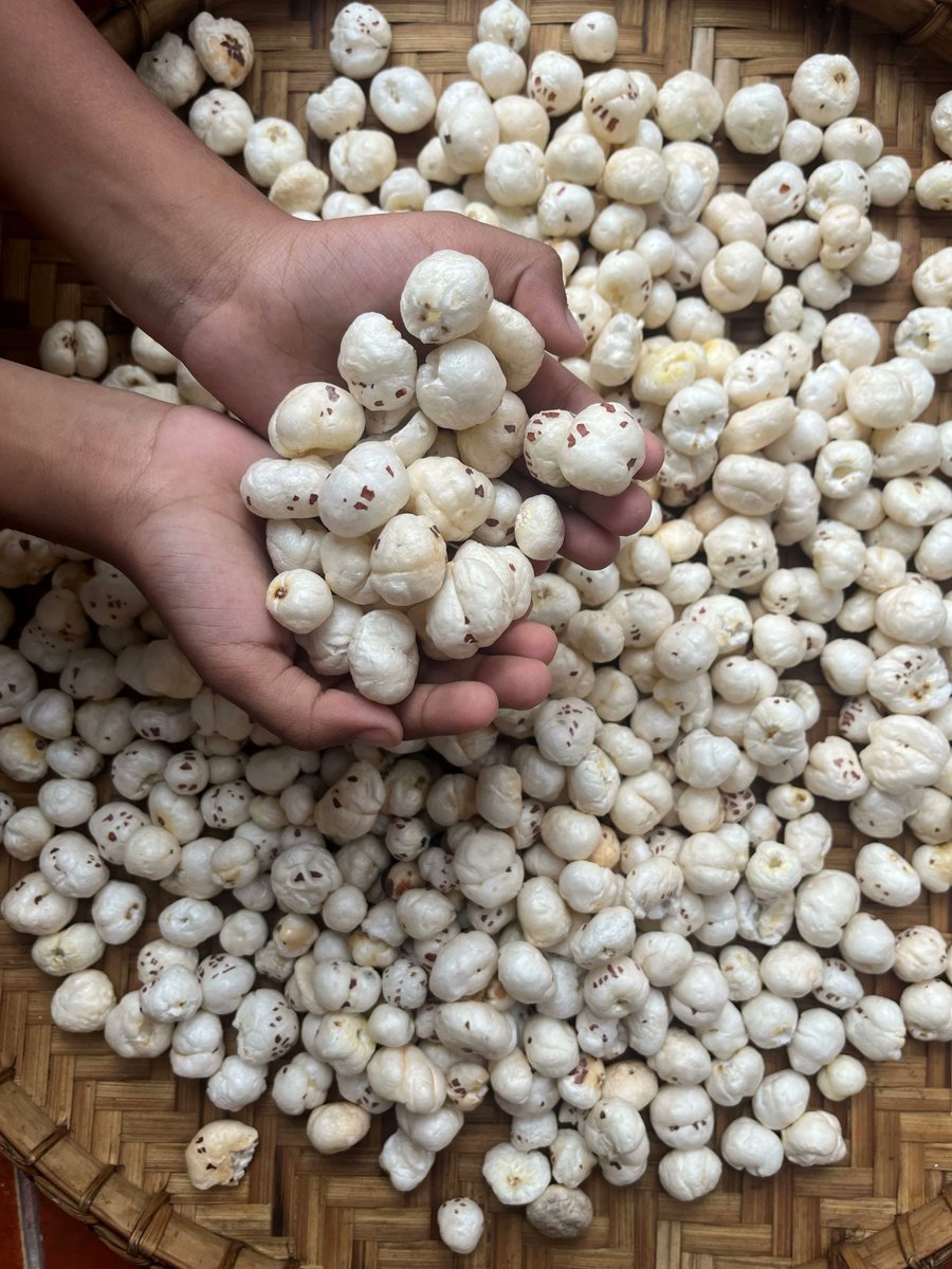 Bihar Infra Tales tweet media