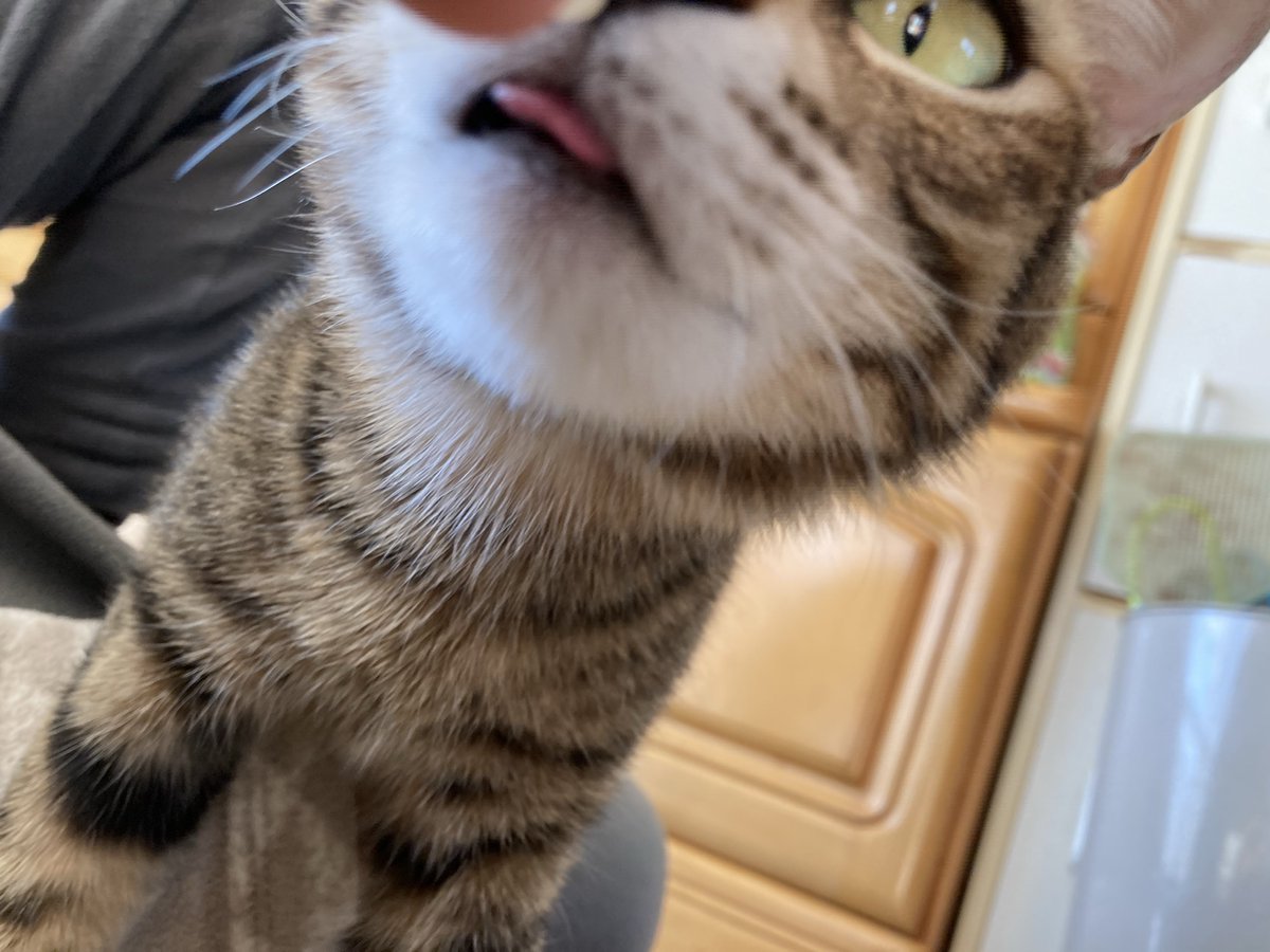 1パチより4パチ tweet media