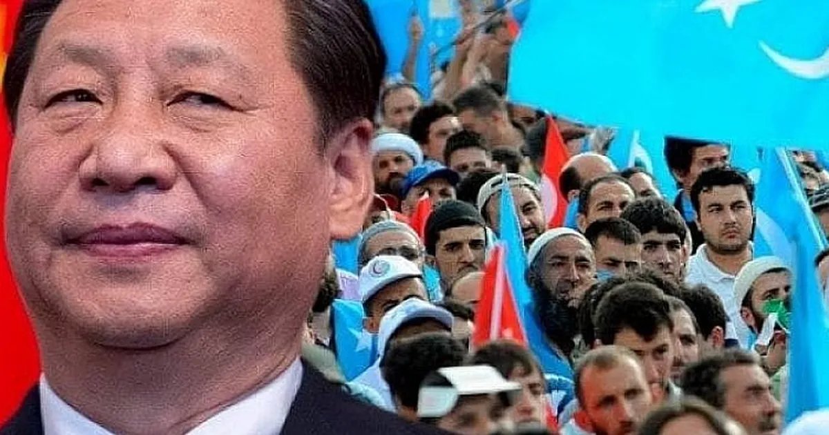 bmnkagan's tweet photo. #FreeTurkistan #UyghurGenocide #killerchina https://t.co/CcVF3PhIzx