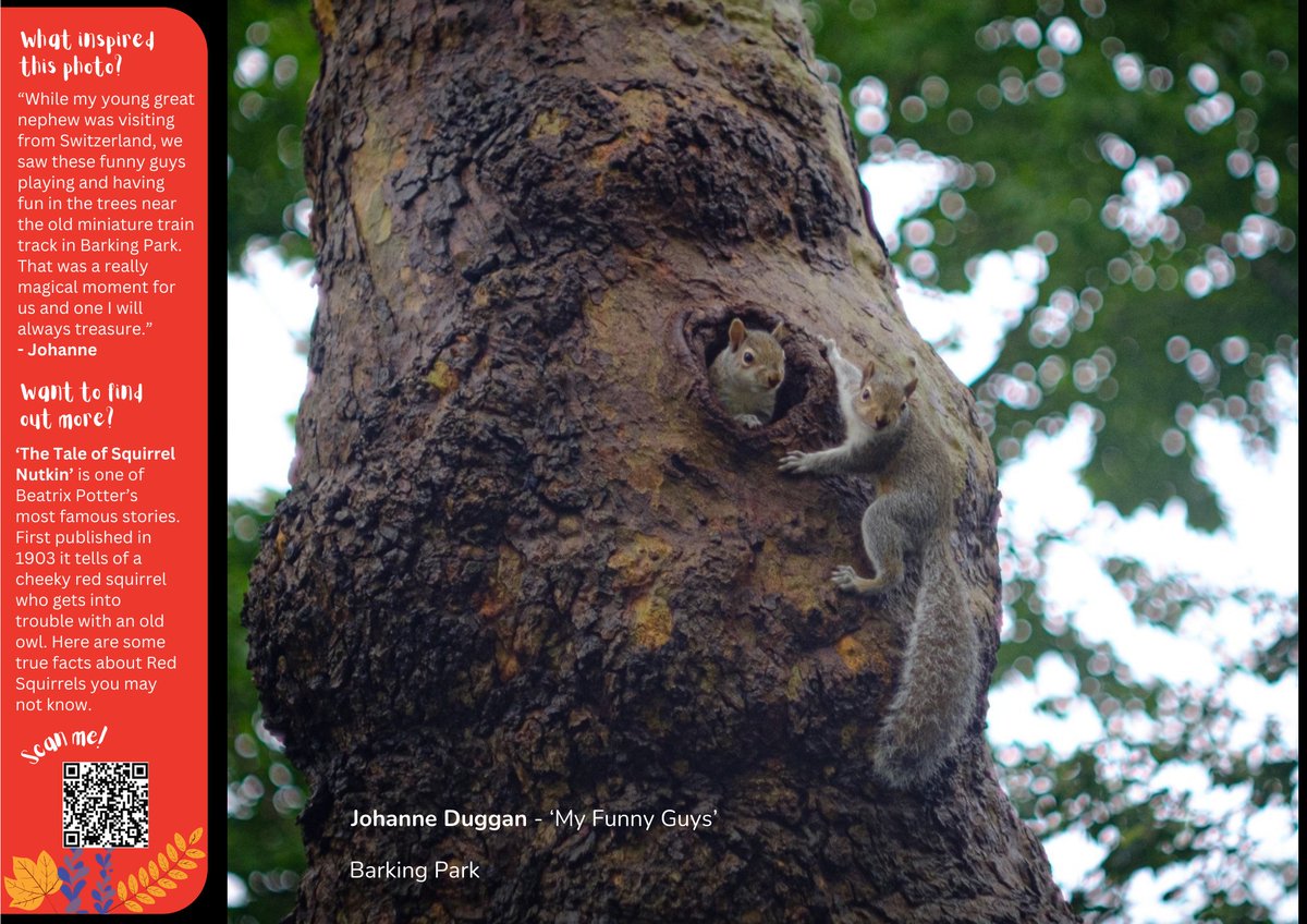 What a cute pair of cheeky squirrels! 📸 Taken by Johanne Duggan in Barking Park, this fabulous #photo is gracing the October page of our 2025 #WildFreeLBBD calendar. Get your entries in before midnight on 31 Oct to be in with a chance to feature in 2026. barkinganddagenhamcountryparks.com/wild-and-free-…