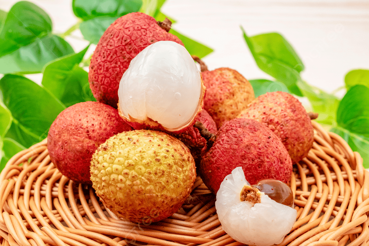 Bihar Infra Tales tweet media