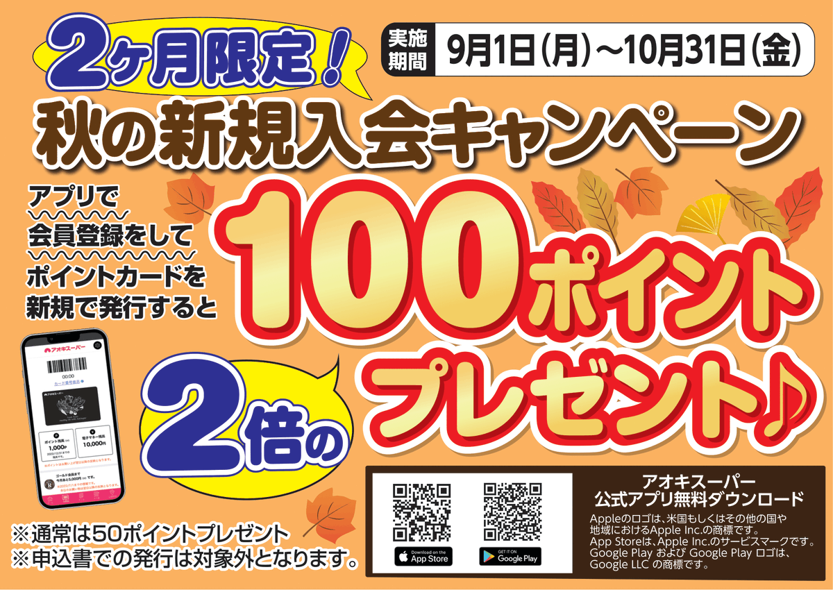 k⟡.·即購入OKですページ ゼクストリーム 2024 WINTER: ：【公式】ブロッコリーグッズの通販