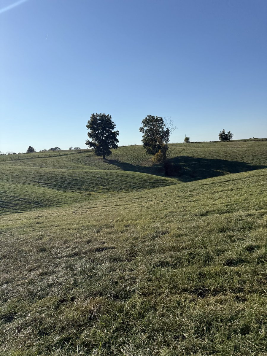 Billy Beckham tweet media