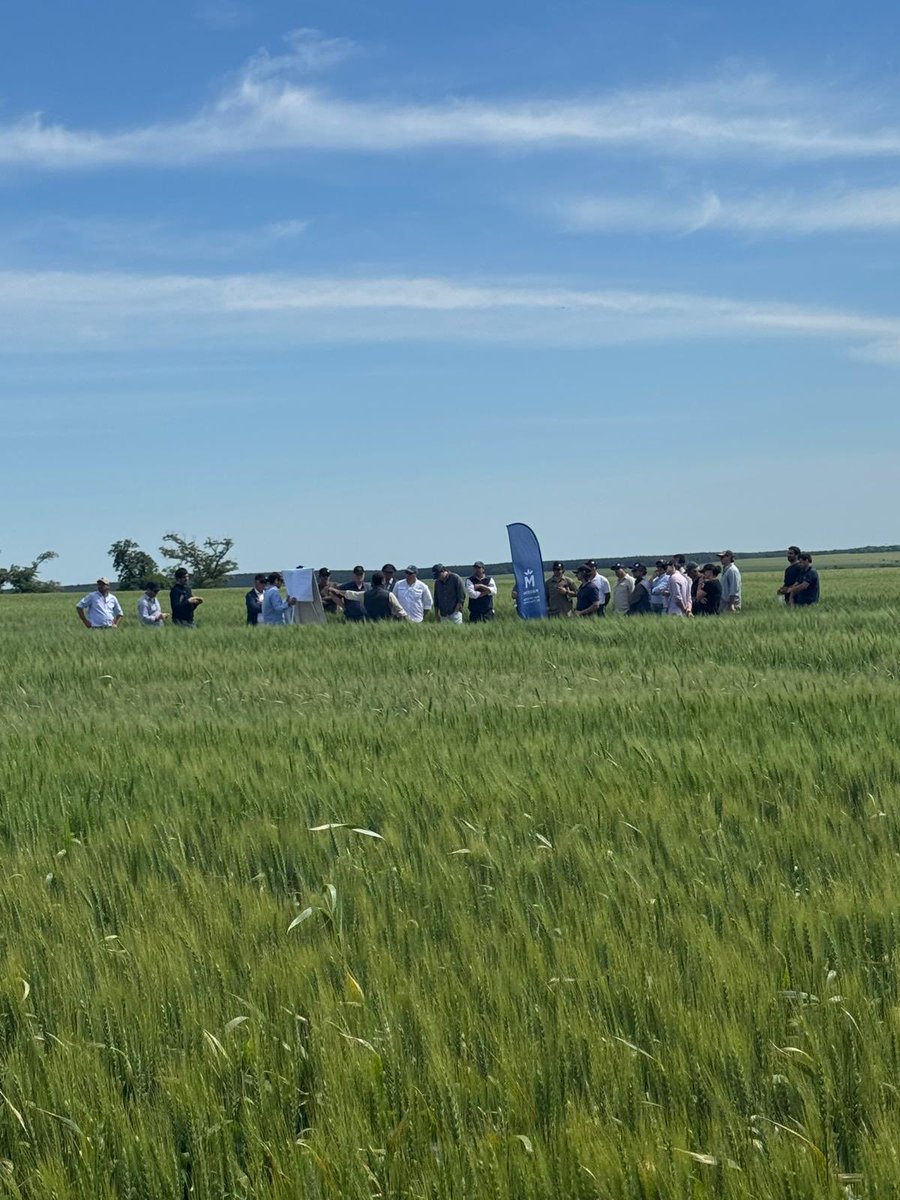 GRUPO PINO tweet media