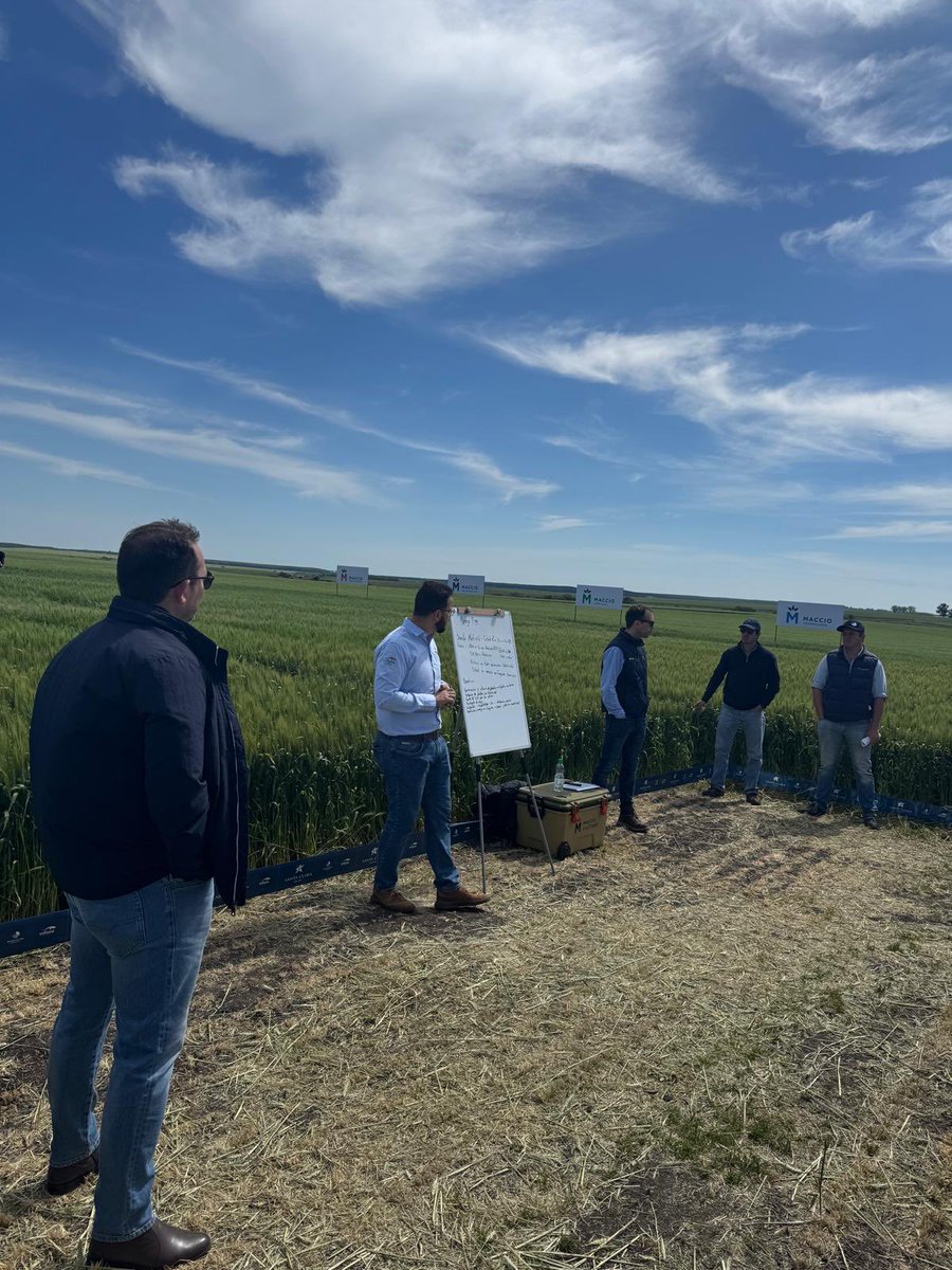 GRUPO PINO tweet media