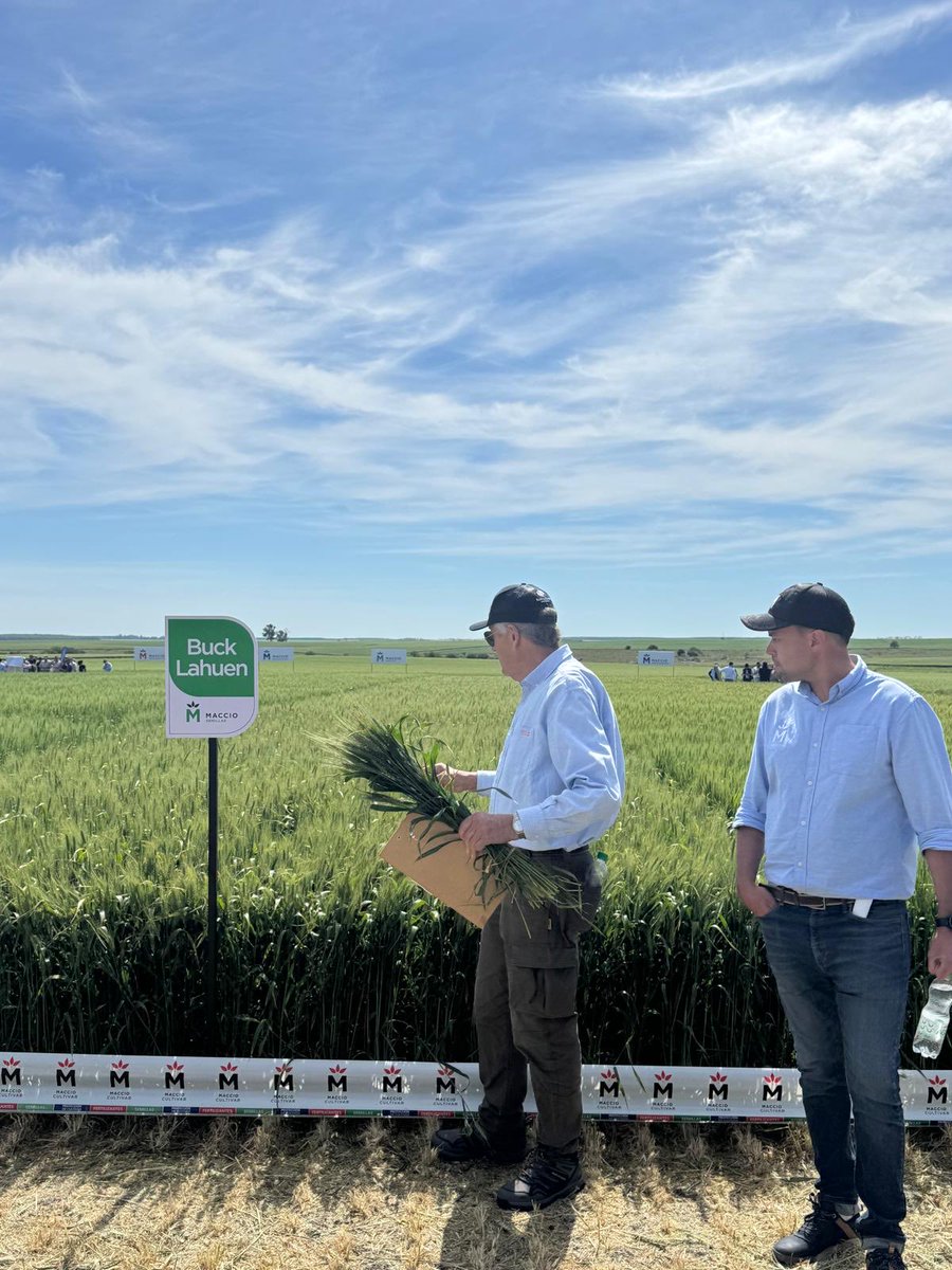 GRUPO PINO tweet media