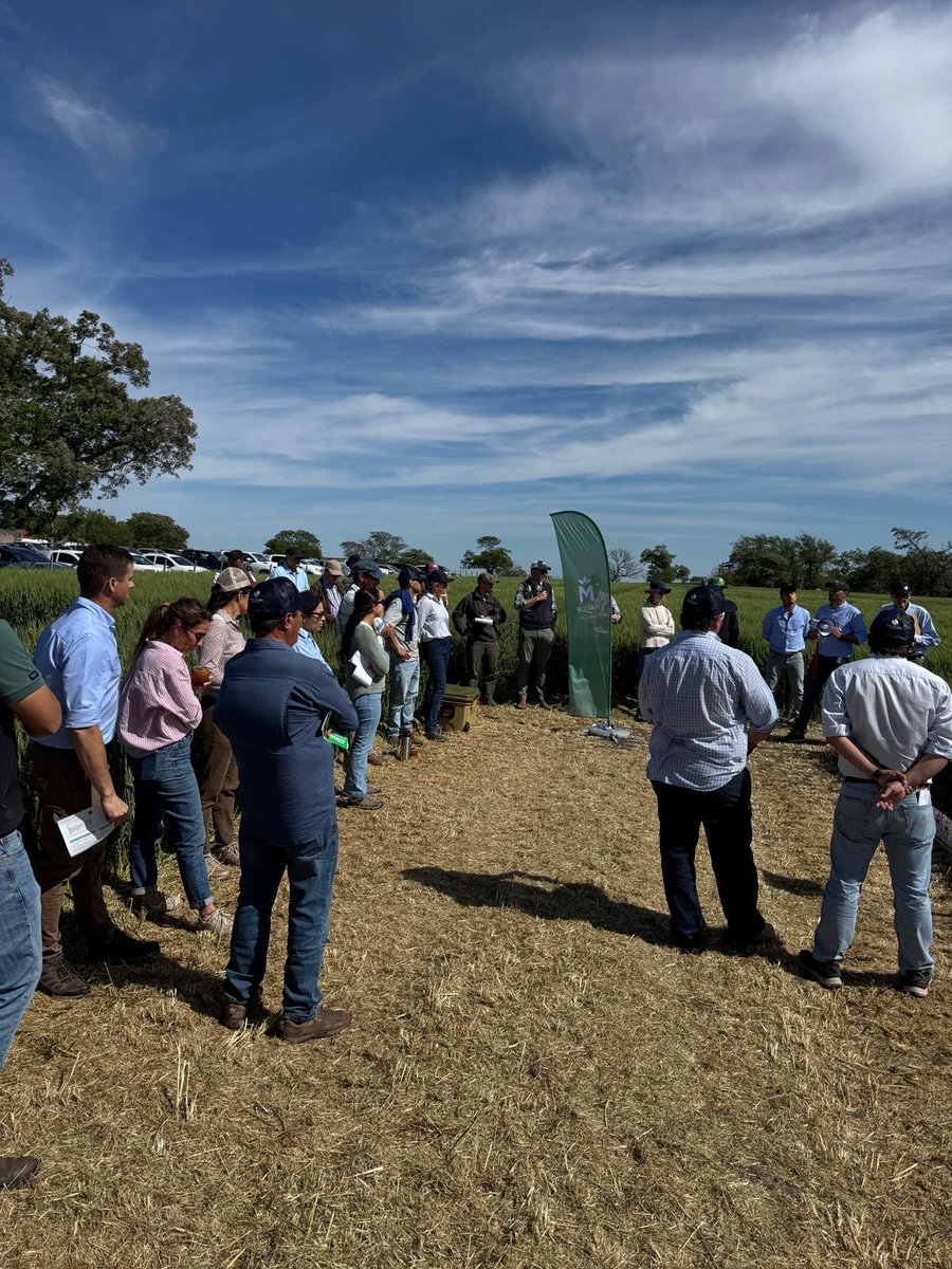 GRUPO PINO tweet media