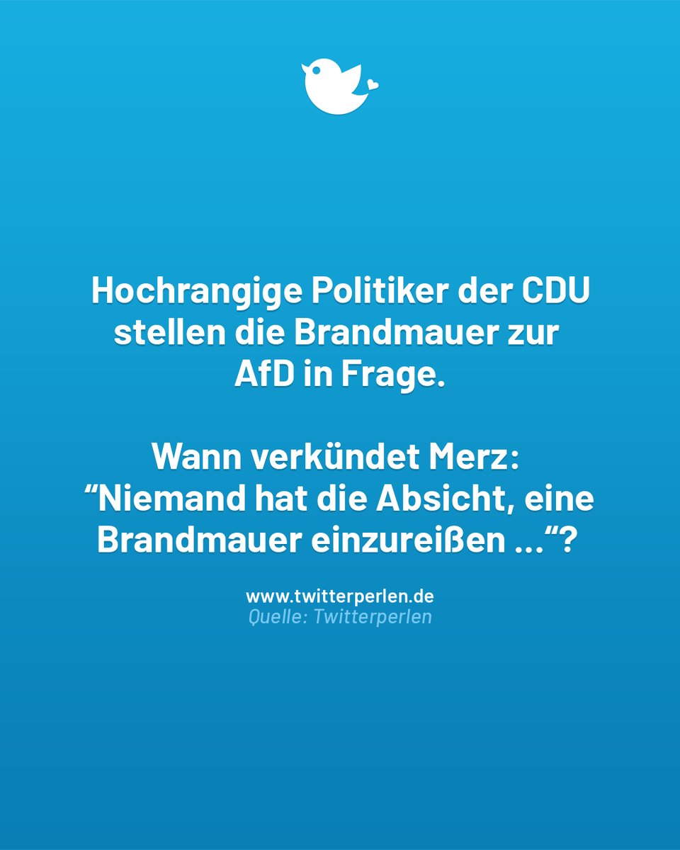tperlen's tweet photo. David Hasselhoff hat nur “Mauer” gehört und sitzt schon im Flieger nach Berlin. 🧱
#noafd #CDU #brandmauer #twitterperlen https://t.co/2Y17Kn42Xz