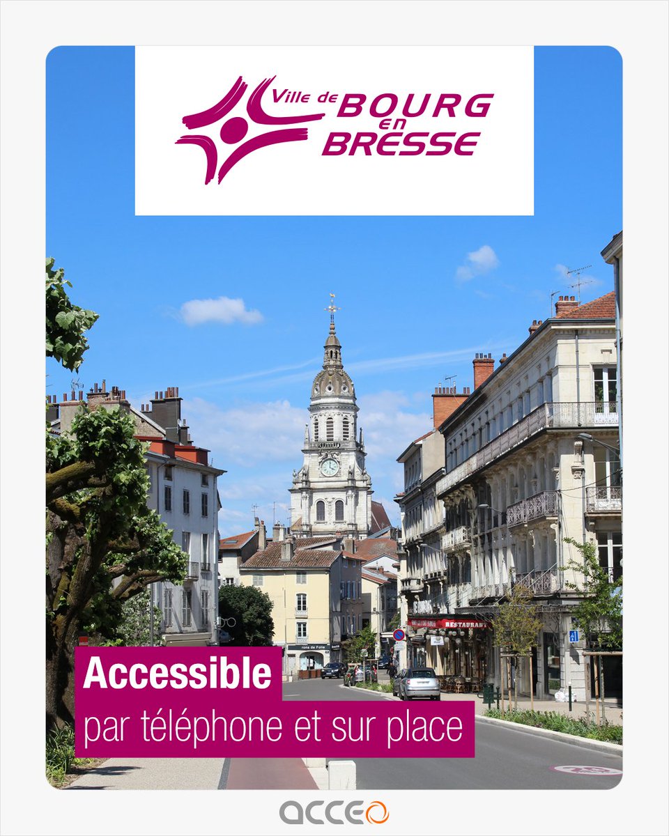 AcceoTadeo tweet media