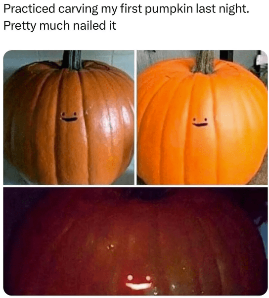 onetruemorbs's tweet image. Honestly, it's perfection.  10/10.

#JackOLantern #Pumpkin #Halloween