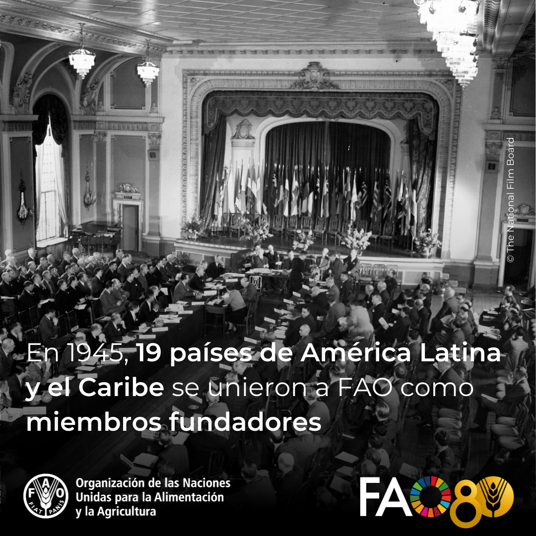 🌎🍽️ Hace 80 años, 19 países de América Latina y el Caribe se unieron en Quebec como miembros fundadores de la <a href="/FAO/">Food and Agriculture Organization</a>, comprometiéndose a erradicar el hambre. Hoy seguimos transformando los sistemas agroalimentarios para un futuro sostenible. #FAO80

fao.org/americas/80-an…