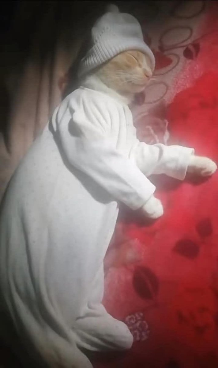 i14nn's tweet image. شعور نومة يوم الخميس بعد اسبوع متعب