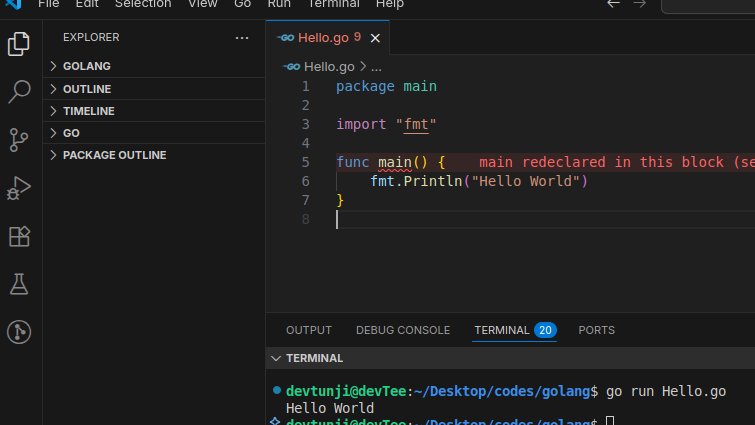 iamgoke_'s tweet image. Hello World.
Day 1 of #100DaysOfGolang 🐹
I went through the Go Tour go.dev/tour/welcome/1 chapters on packages, variables & functions and I’m really starting to like Go’s simplicity 👌.
Every Go program starts with package main (makes it executable) and a func main().