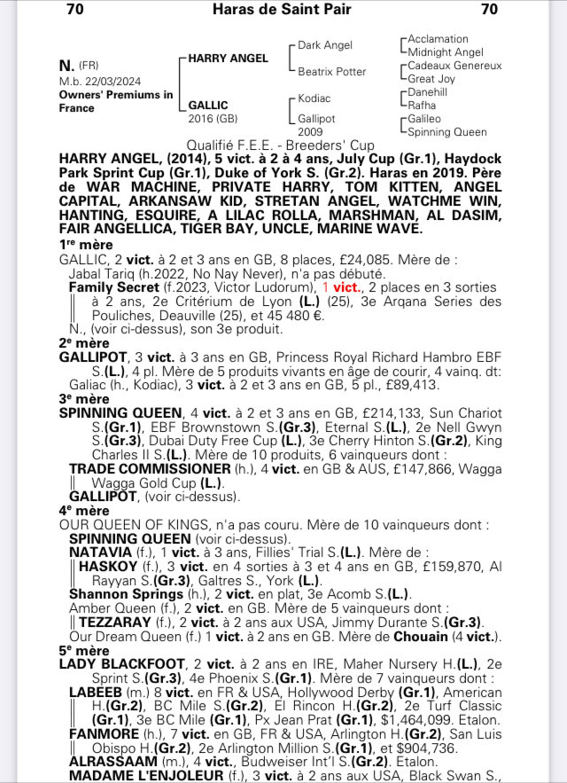 saint_pair's tweet image. 🍂 ARQANA OCT Sales 🟠⚪️
A racy Colt by #HARRYANGEL.@DarleyStallions 
Lot 7️⃣0️⃣,
📌UPDATE 1/2 sister Family Secret 2yO just won her  maiden after has been 2nd in  a Stake Race 
📍See you Yard C 
📸 @zuzanna_lupa