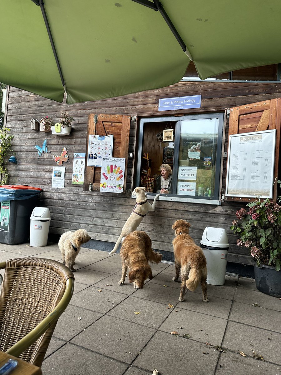 どうにも寂しいから、牧場のヤギさん達に会いに行って、ワンコ達と戯れてくる！