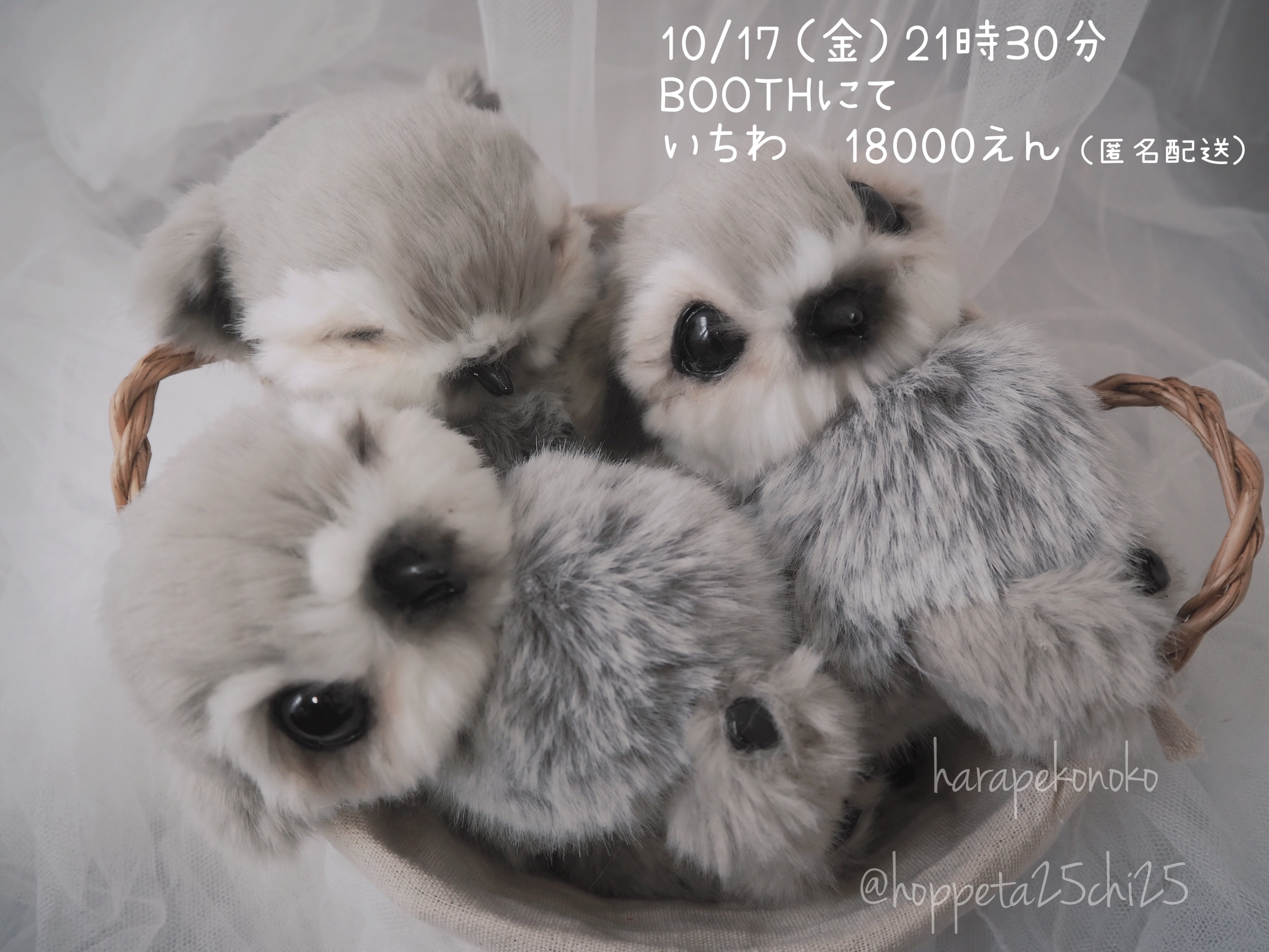 ハラペコ様 ヒヨコ アートドール ハラペコ (@hoppeta25chi25) / X