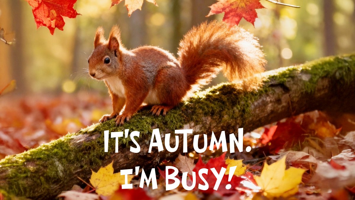 Red Squirrel South-West tweet media