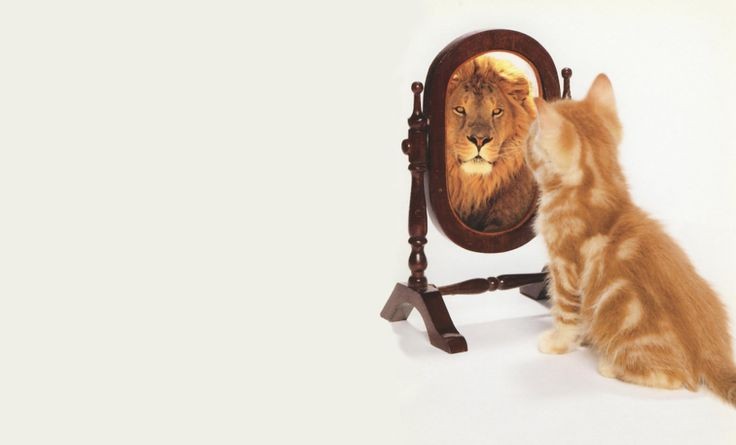 falopitarika666's tweet image. recupérate conchetumare vo no eri así