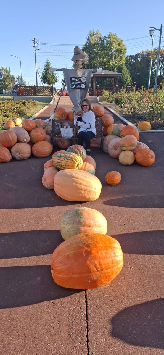 marumeru03's tweet photo. 9月旅〜
1pic. 能取湖サンゴソウ
2~4pic. メルヘンの丘女満別 
      コキア可愛い♡
 翌日は北見で孫達と買い物。
夜は道の駅温根湯温泉で。

#車中泊 #キャンピングカー #道東住み #オホーツク海側 #セキソーボ��ィー #トムバロン #道の駅巡り #ガーデン巡り #車中飯 https://t.co/J75qDJZNN2