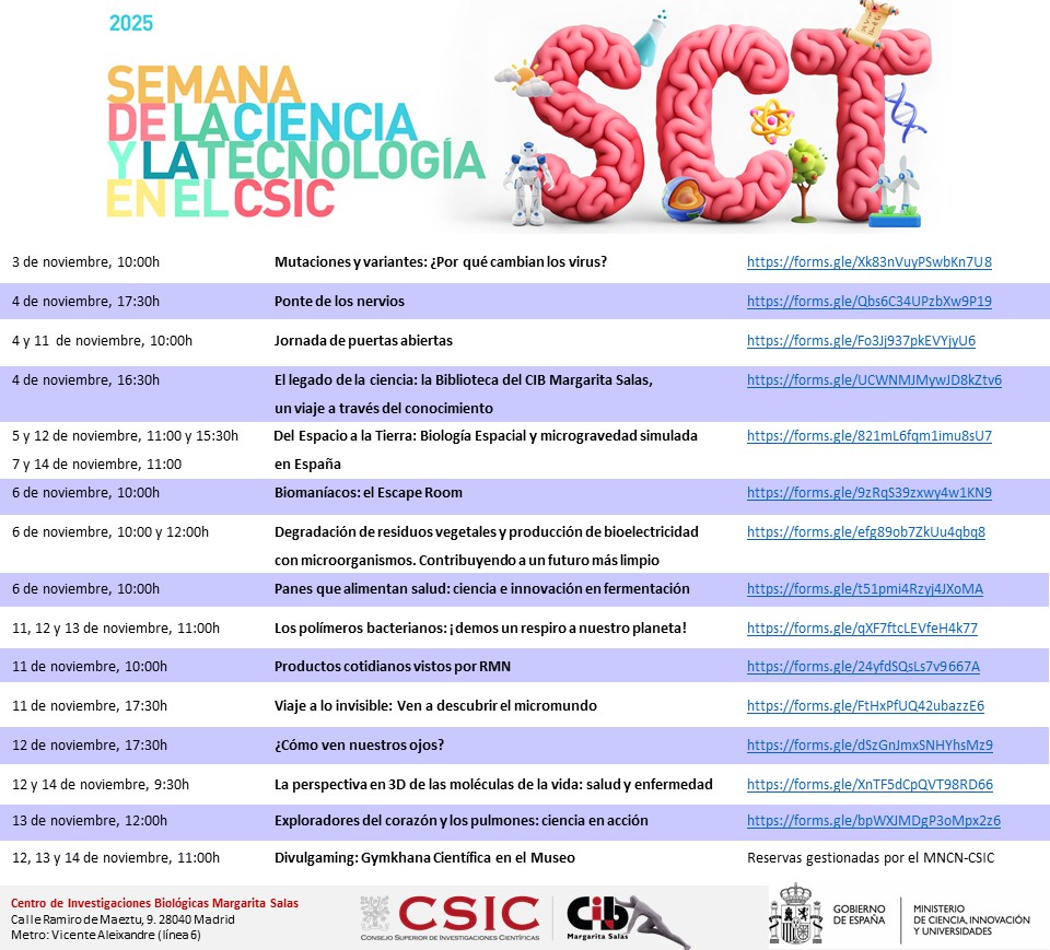 CIB_CSIC's tweet image. El CIB Margarita Salas organiza 15 actividades en la Semana de la Ciencia 2025.

Las inscripciones se abren el 20 de octubre a las 9:00h. 

Toda la información y enlaces de registro aquí 🔗cib.csic.es/es/news/divulg…