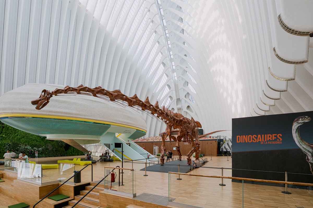 CaixaForum's tweet photo. En #CaixaForum València inauguramos “Dinosaurios de la Patagonia” con la colaboración de @mefpatagonia. Una experiencia que te sumerge en las historias de la tierra y los seres que la habitaron. #CaixaForumDinosaurios https://t.co/rQpoGJI154
