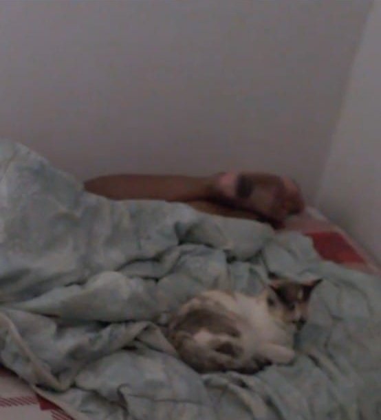 Skinny sem querer te assustar mas tem uma coisa atrás de você