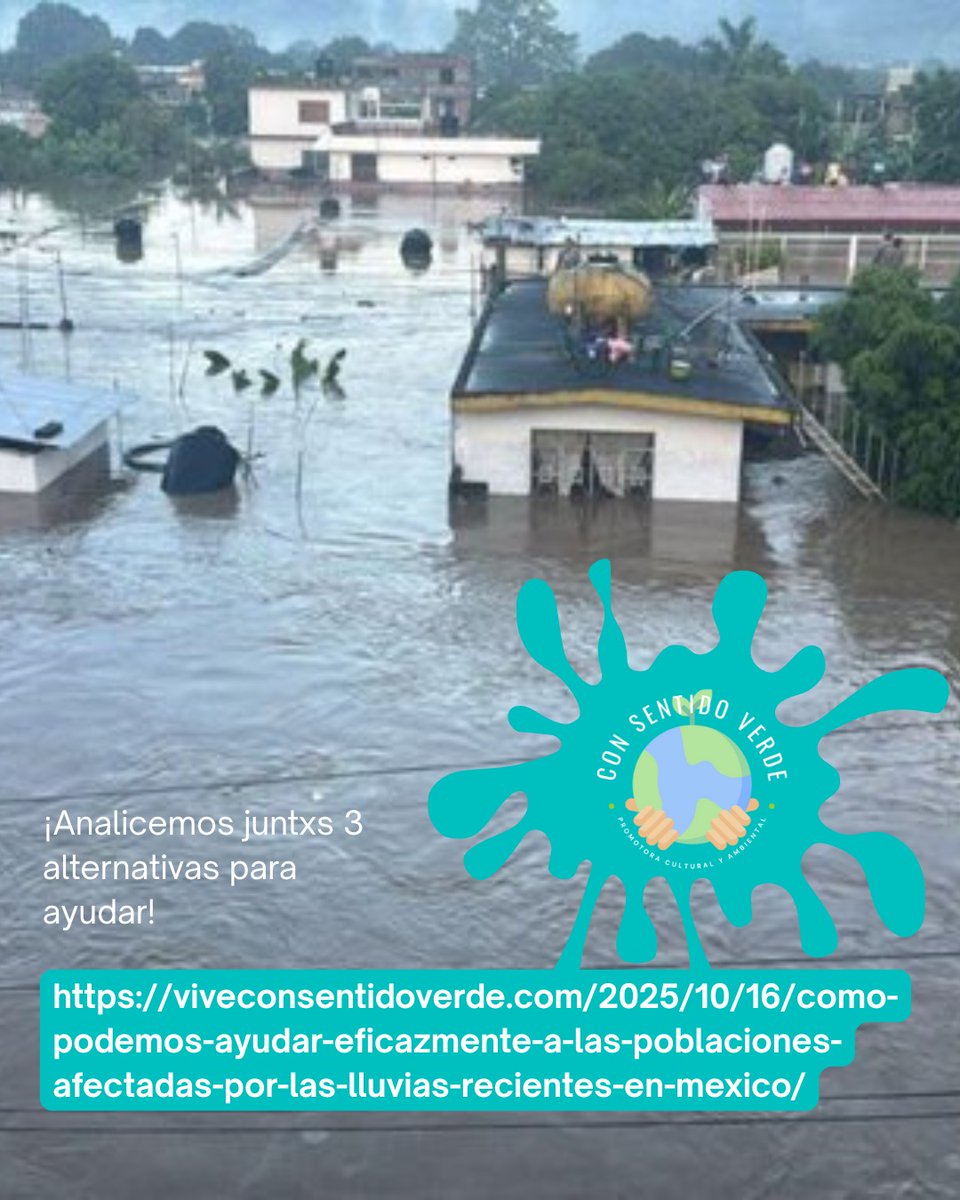📢 Una prueba más de la crisis climática que nos enfrenta a un desastre  colosal 🌧️

🆘 Es momento de ayudar eficazmente 🙌🏻

Aquí 3 alternativas para donar con la confianza de que todo llegará directamente a quienes lo necesitan 🫶

viveconsentidoverde.com/2025/10/16/com…

#viveconsentidoverde