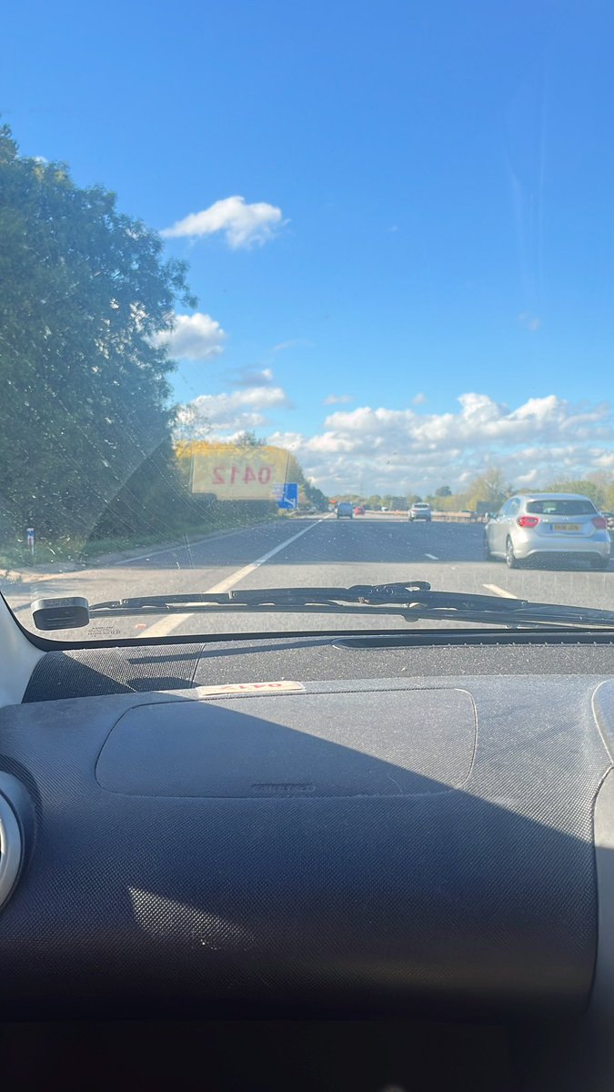 Kooli 🦎 tweet media