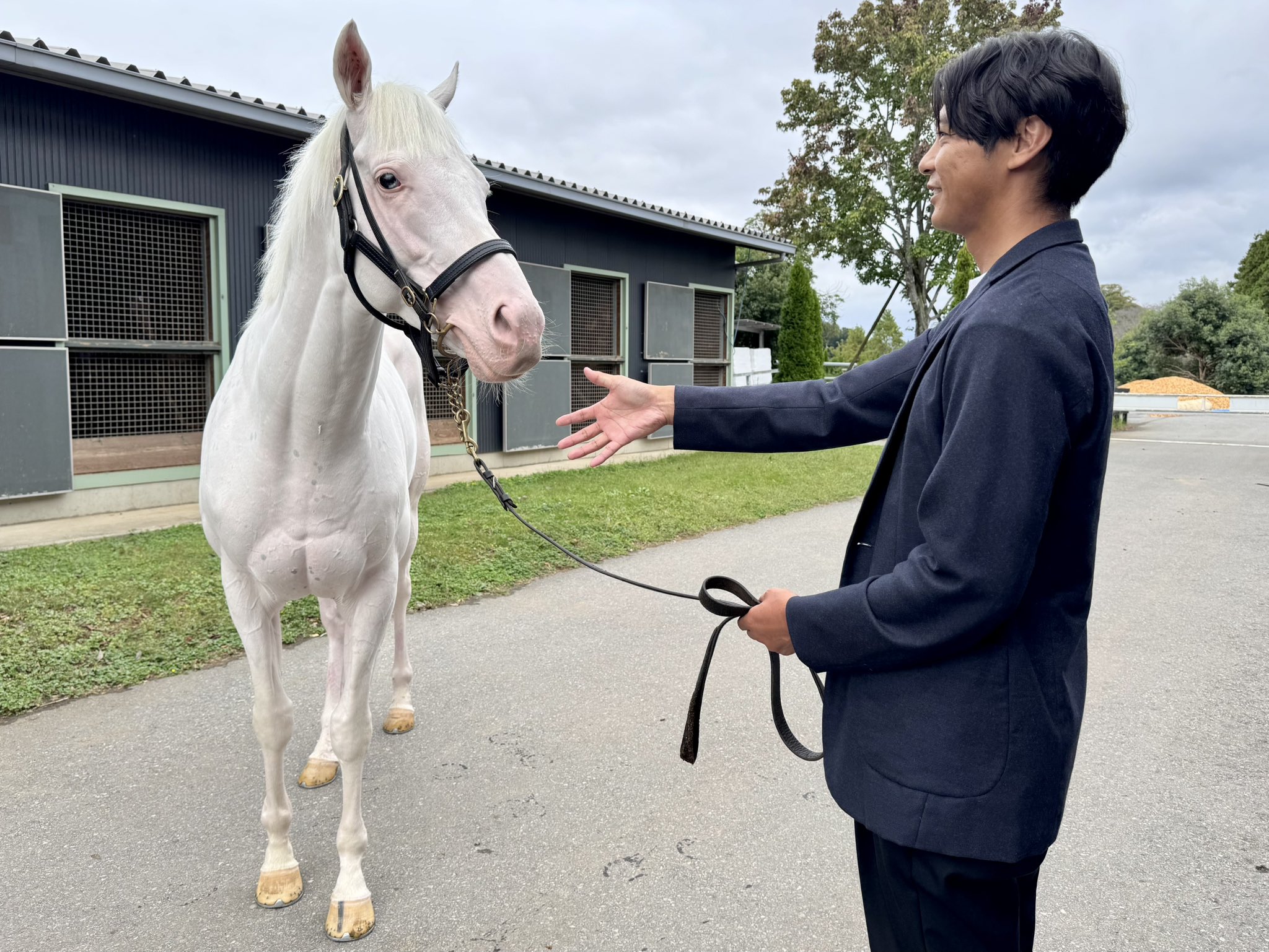 TCC 引退競走馬ファンクラブ - 馬を救い、人を癒す - on X: 