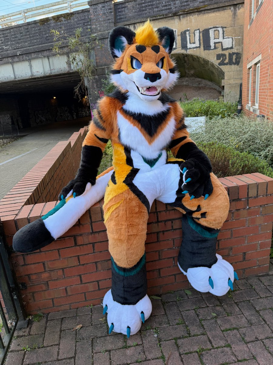 Pup Virens tweet media