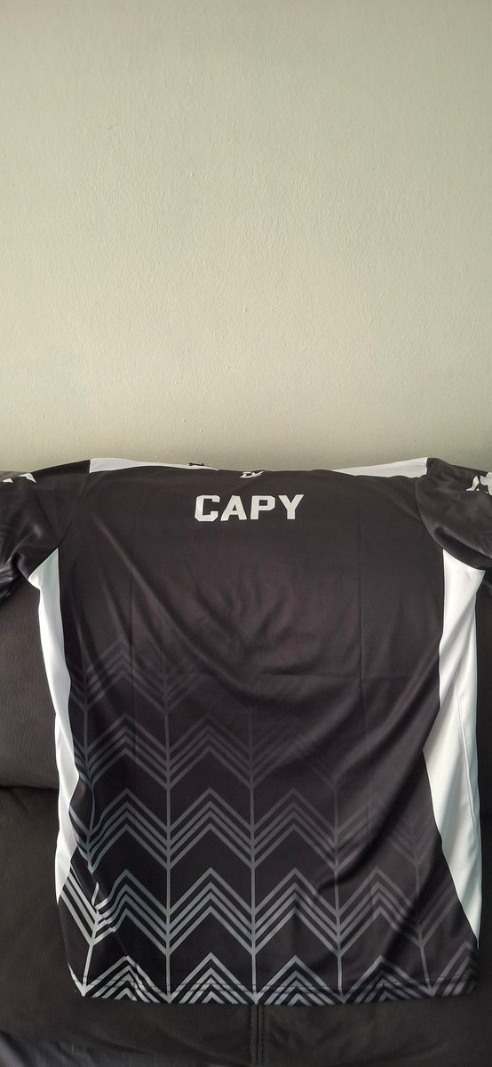 INFTY CapyTáctico tweet media