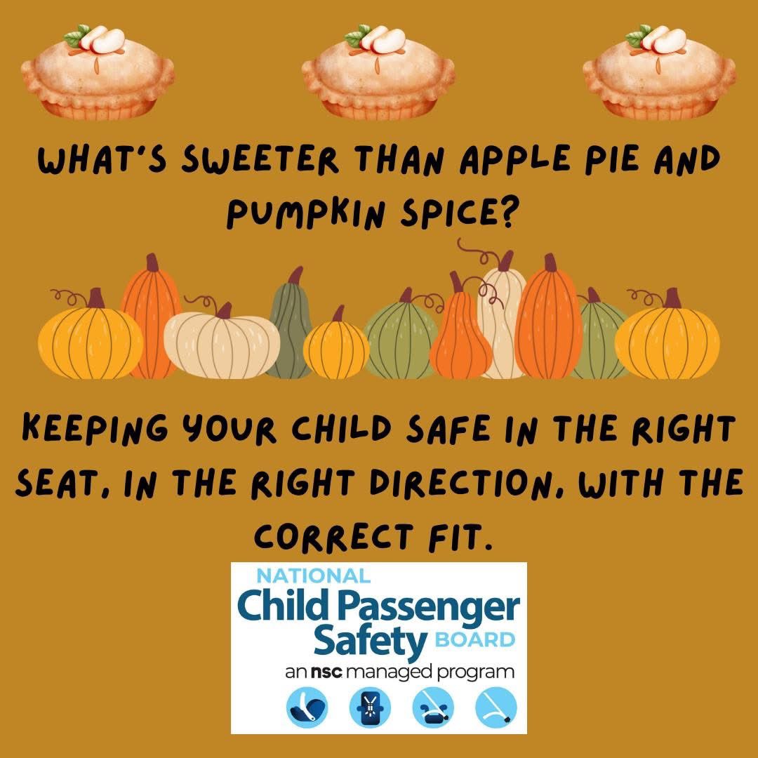 MahoningSafe's tweet image. Protect your loved ones. Use this NHTSA tool to find the right seat: nhtsa.gov/campaign/right…

#KeepEachOtherSafe #TechsRule #parents #children #carseat #safety #education #training National Safety Council National CPS Certification Safe Kids Worldwide
