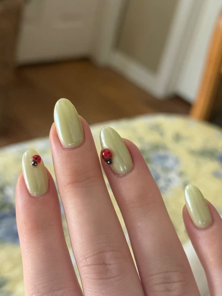 🐞