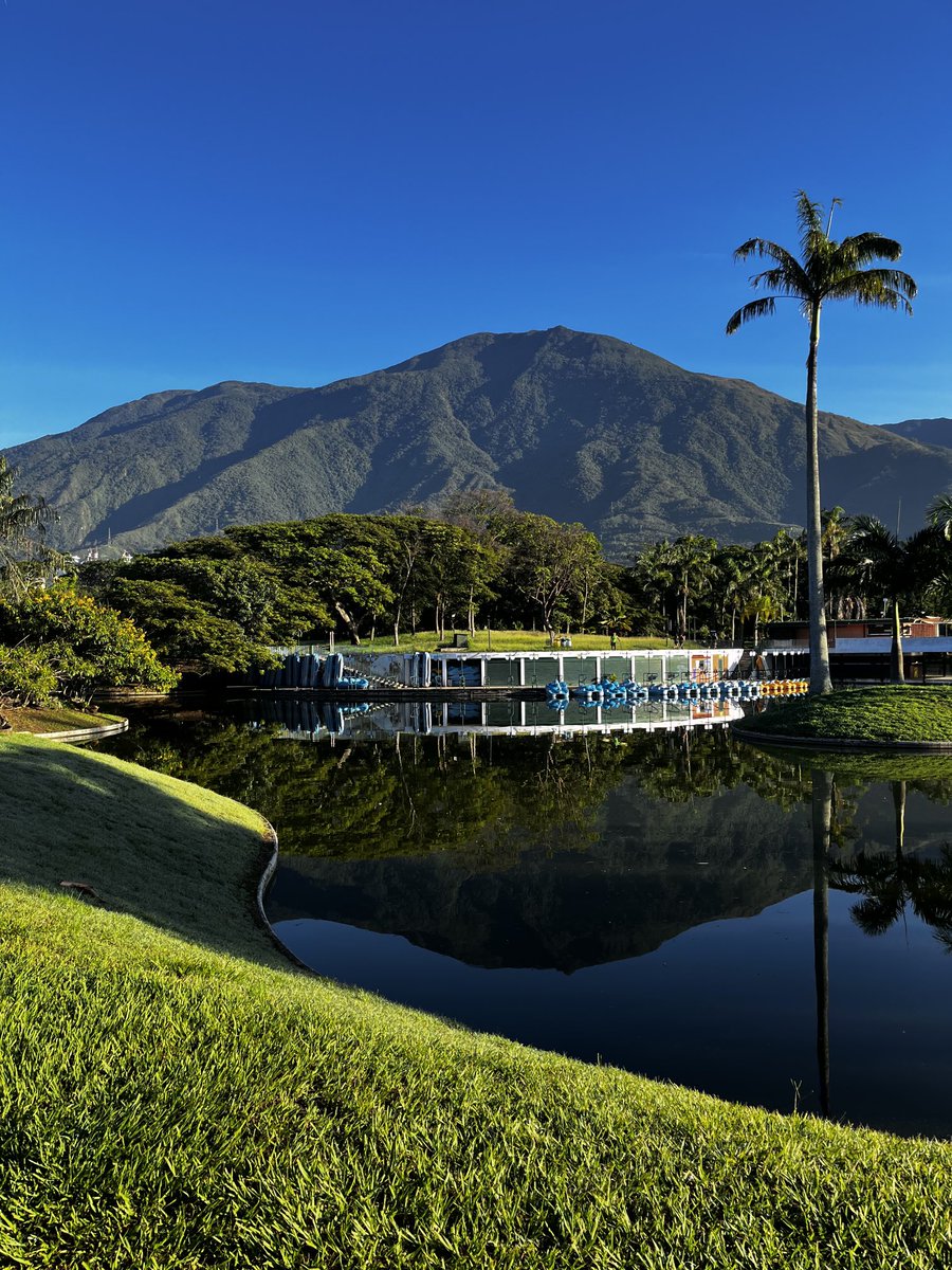 La magia de la naturaleza. Buenos días. 

#UnaMiradaAlParque