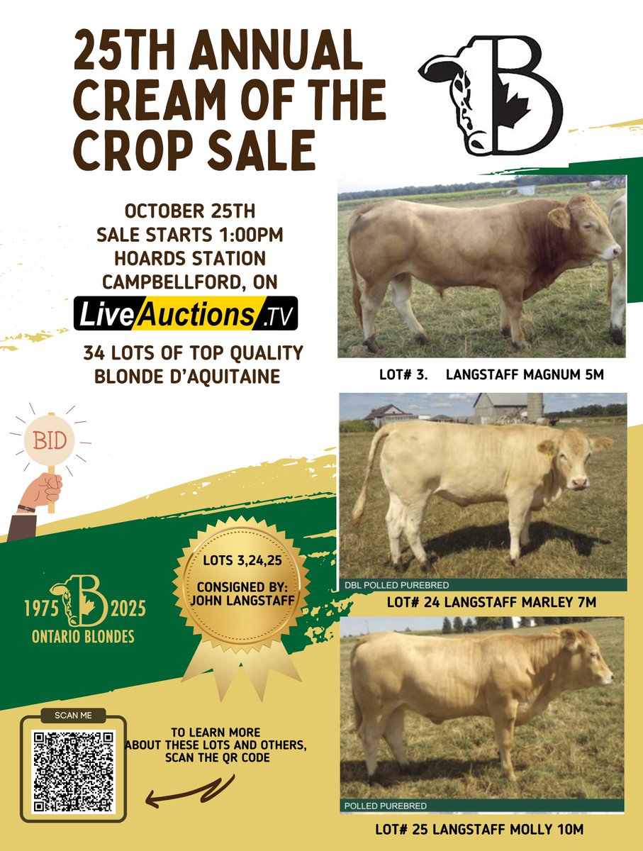OntBlondeAssn's tweet photo. CREAM OF THE CROP SALE
 Consignor: Langstaff Blondes
PLEASE NOTE: Lot numbers do not represent sales order. That will be determined and handed out sale day.
CREAM OF THE CROP LOCATION AND DATE:
October 25th, 2025 | 1pm
Hoards Station Sale Barn 
2508 County Rd 8 Campbellford, ON https://t.co/Up5QB7k6QY