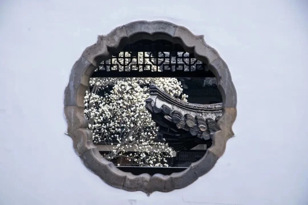 JiangsuNow's tweet image. Built over 100 years ago in Qing Dynasty, the He Garden in #Yangzhou is a gem of Chinese classical gardens. 
With magnolia in spring and osmanthus in autumn…the ancient garden shows its charm in different season as it is adorned by various flowers. #AncientChineseArchitecture…