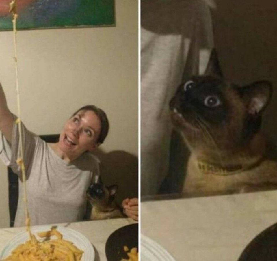 place where car shouldnt be (@carshouldnt) on Twitter photo 