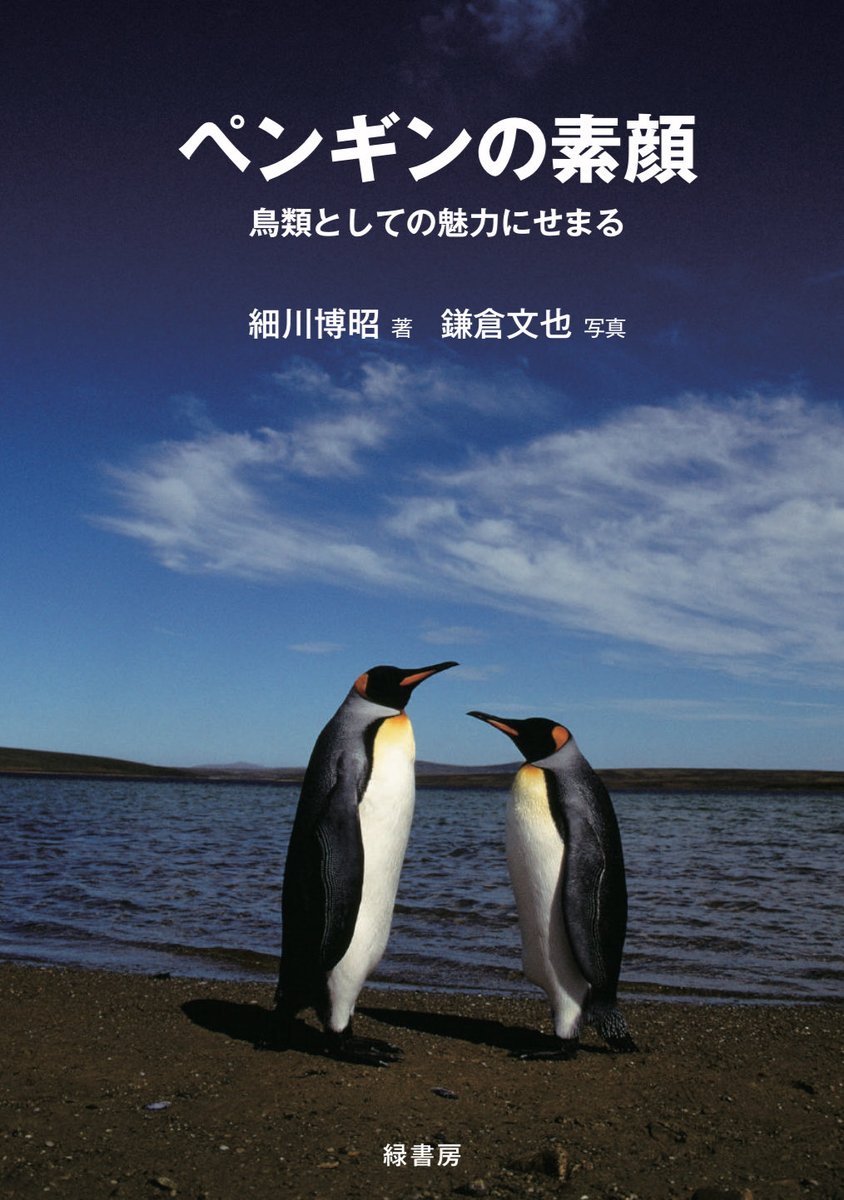 ペンギンページ Amazon.co.jp: Fridgeezoo HOGEN ペンギン 【方言 京都】 FGZ-PG