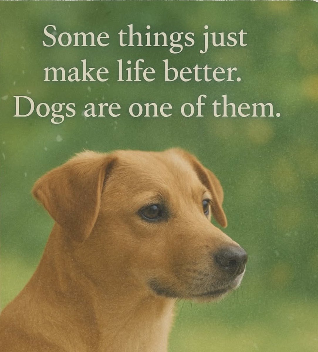 robert fehrmann (@rfehrm) on Twitter photo 