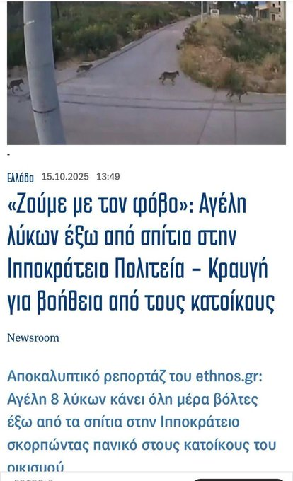 Στο μεταξυ η Ιπποκράτειος εχει κτιστεί ολη μεσα στο δάσος ,οπότε μόνο οι λύκοι δικαιολογούνται να ζούν με το φόβο και να αναρρωτιουνται το γυρεύουν οι ανθρωποι μες στο δάσος.