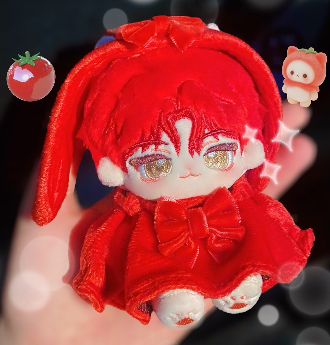 #우리모먹어요_캣찹냥
#솜이_띠용용

아기 토마토 발견 ✨